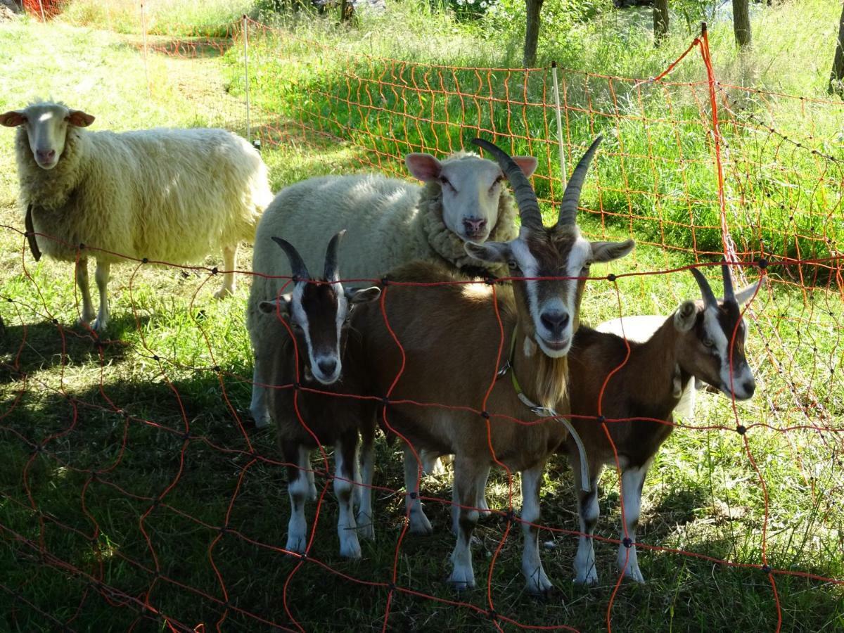 דירות Hermsdorf  Urselhof מראה חיצוני תמונה